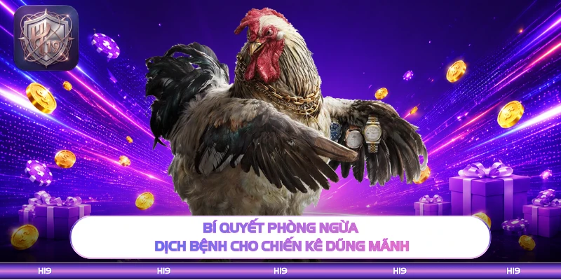 Bí quyết phòng ngừa dịch bệnh cho chiến kê dũng mãnh