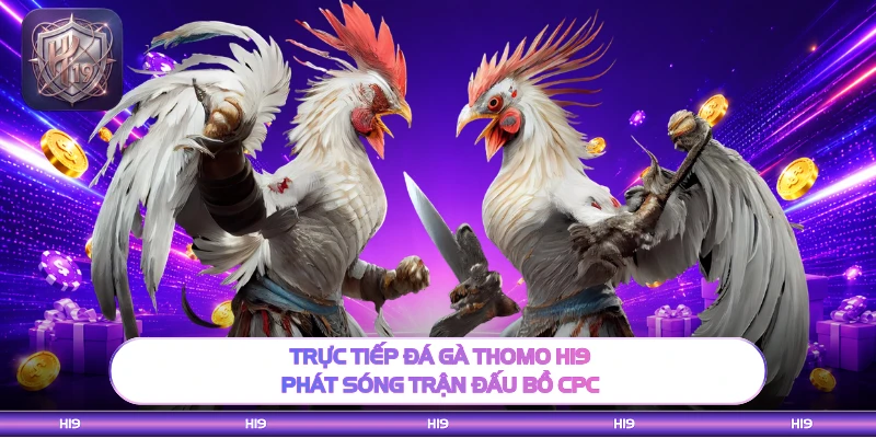 Trực Tiếp Đá Gà Thomo H19 - Phát Sóng Trận Đấu Bồ CPC